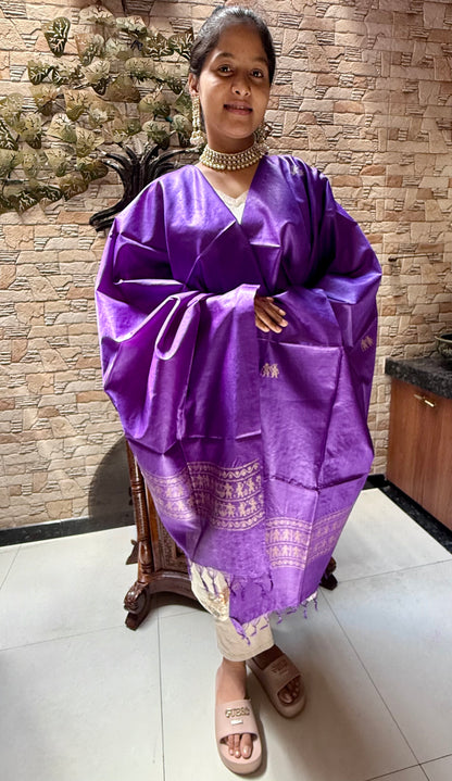 Pure Desi Tussar Kosa Dupatta